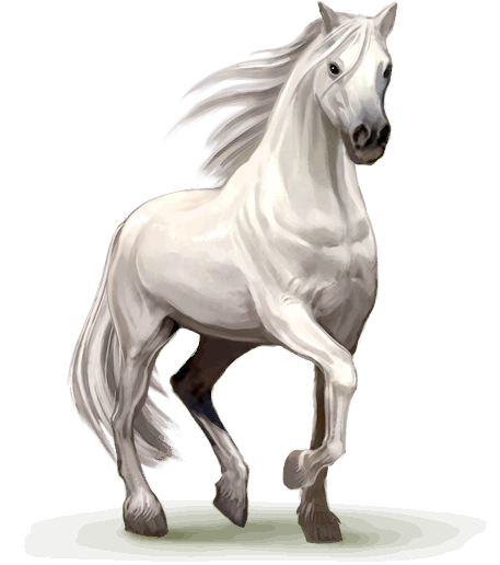 White Horse Png - Beyaz Asil Atlar,Beyaz PNG At