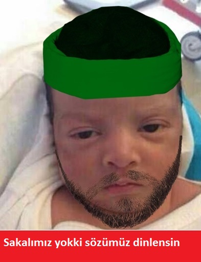 qu7zcrlb.jpg