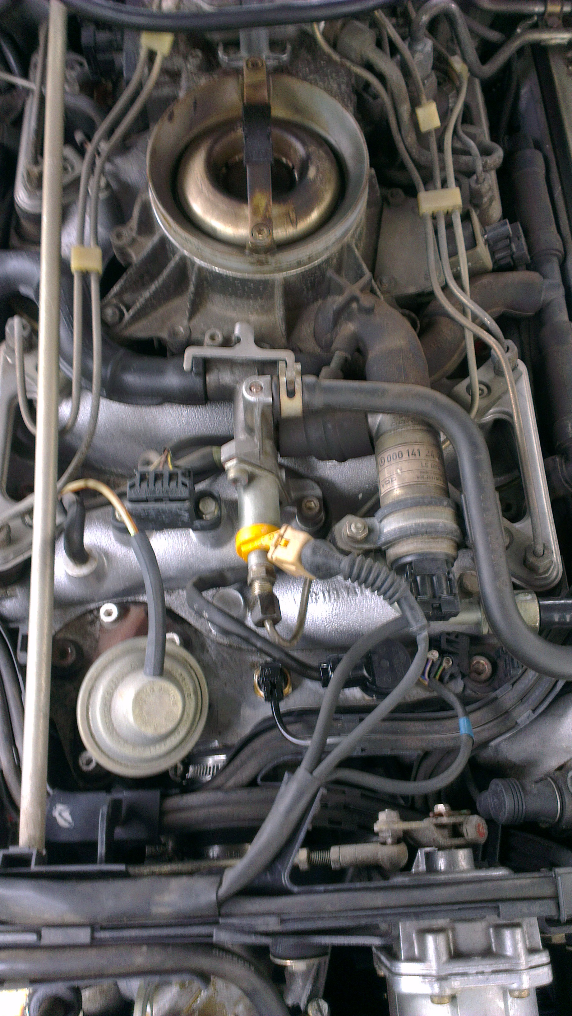 [Bild: afallje9.jpg]