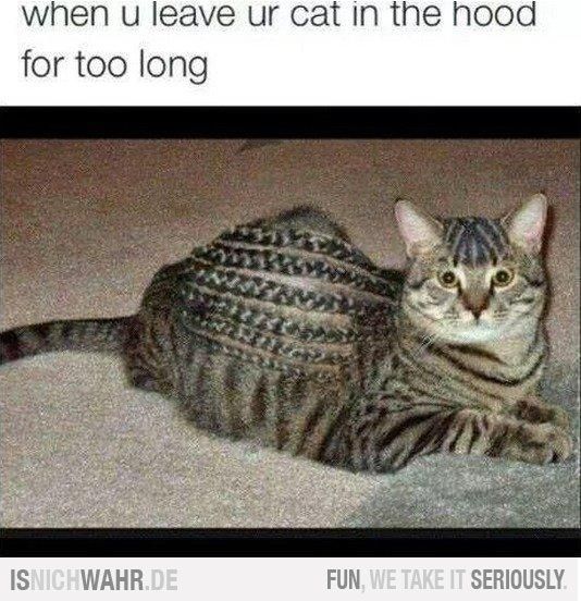 webywt3f.jpg