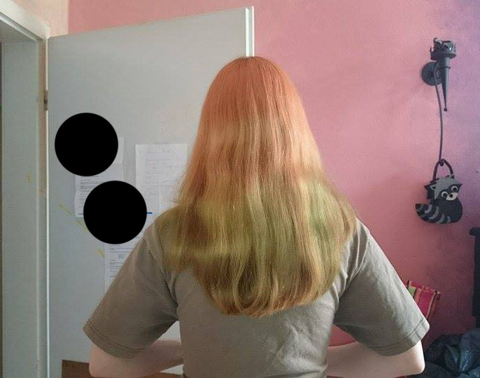 Bild