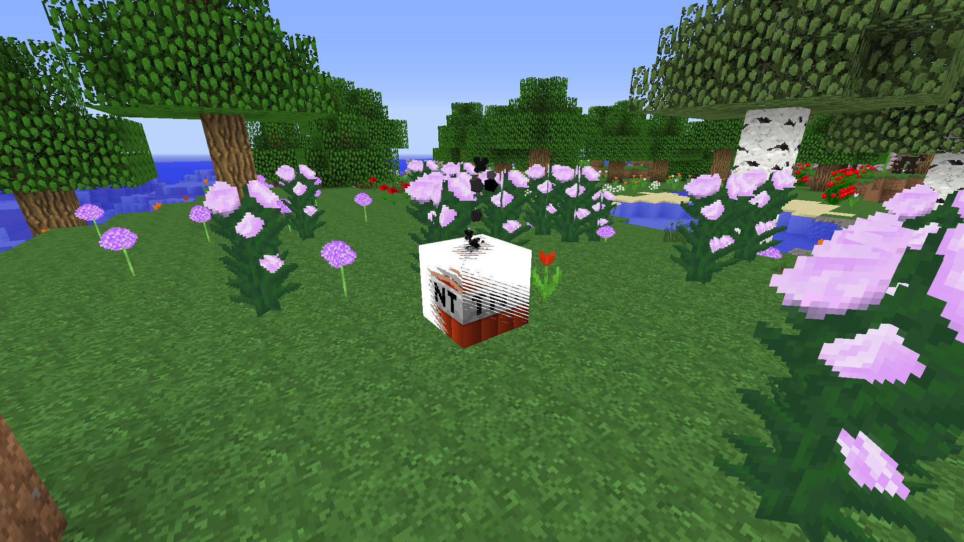 Instant TNT | SpigotMC - High Performance Minecraft Software