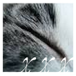 Dieses Forum ist gesperrt. Sie können weder Beiträge schreiben, noch Beantworten. Auch die Themen können nicht bearbeitet werden. Dieses Forum ist gesperrt. Sie können weder Beiträge schreiben, noch Beantworten. Auch die Themen können nicht bearbeitet werden.
