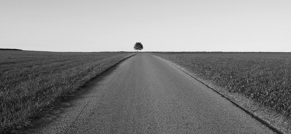 j8ps4xn6.jpg