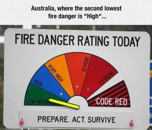 tcdcowie.jpg