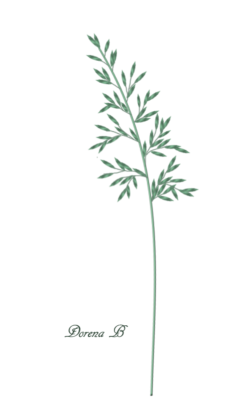 [Bild: mmw4ydwz.png]