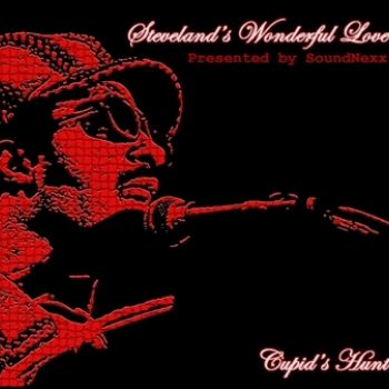 STEVELAND'S WONDERFUL LOVE MIXX MIXED BY DJ SoundNexx