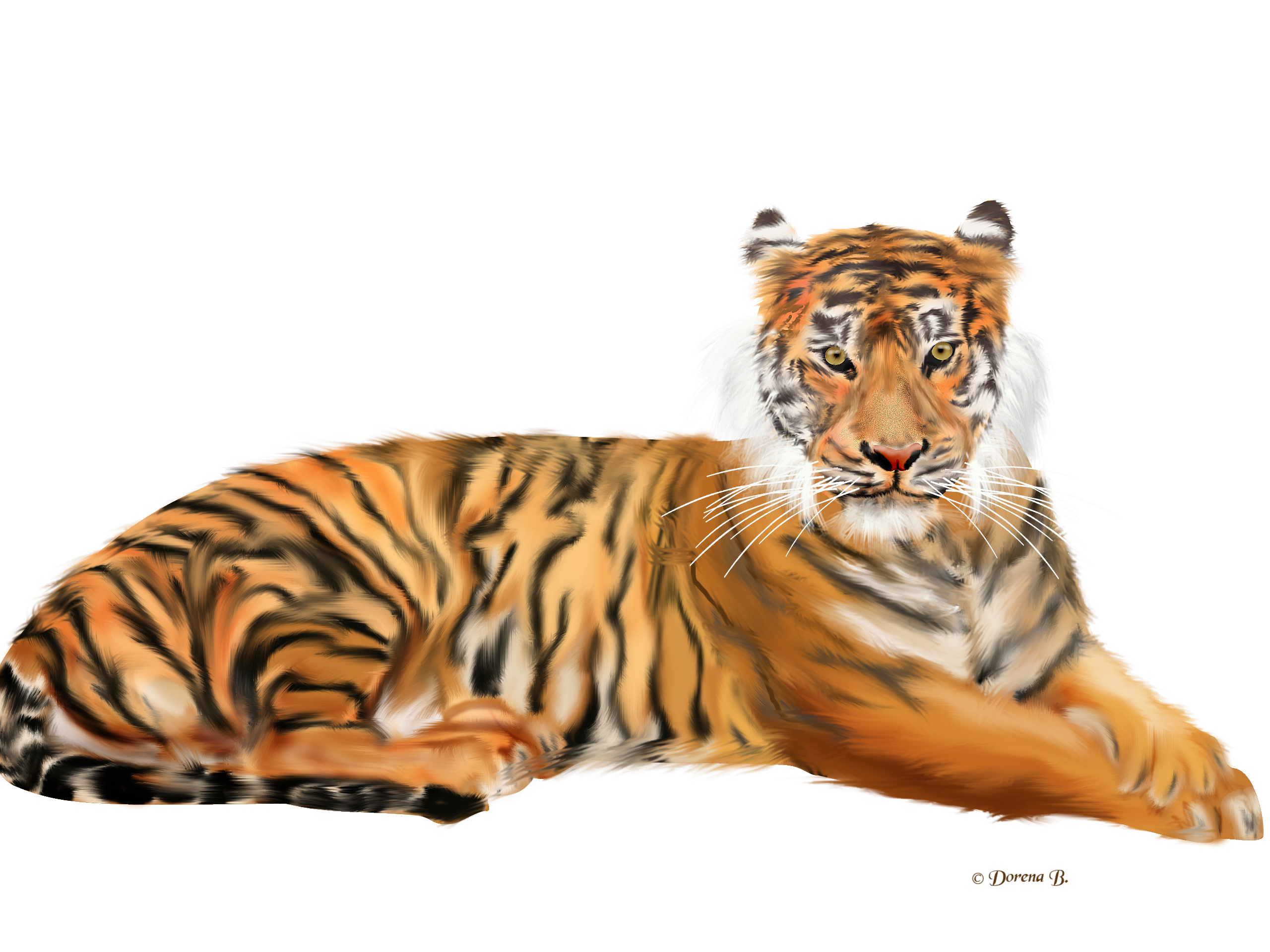 [Bild: 8jhoxth9.png]