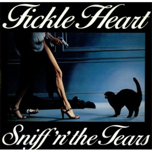 Fickle Heart Album Art