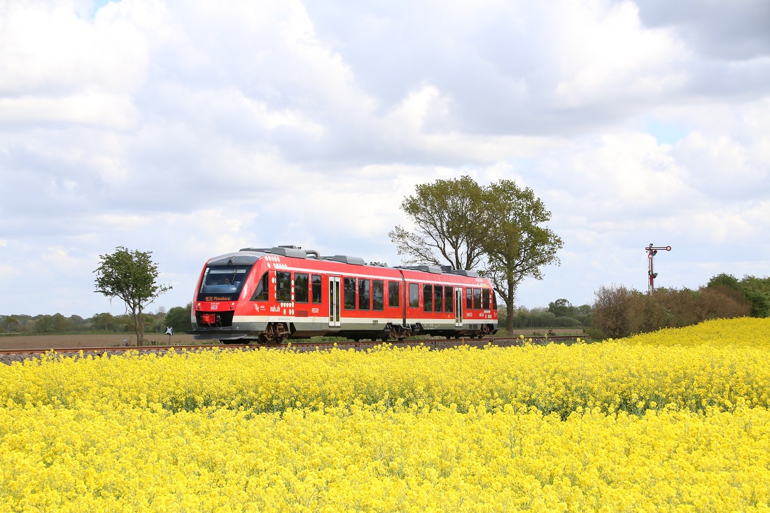 VT 648 465 bei Neuwittenbek