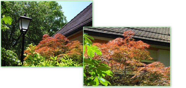 https://fs2.directupload.net/images/user/150620/bupymzfd.jpg