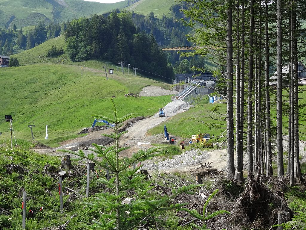 Trasse im Bau vom 25.06.2015